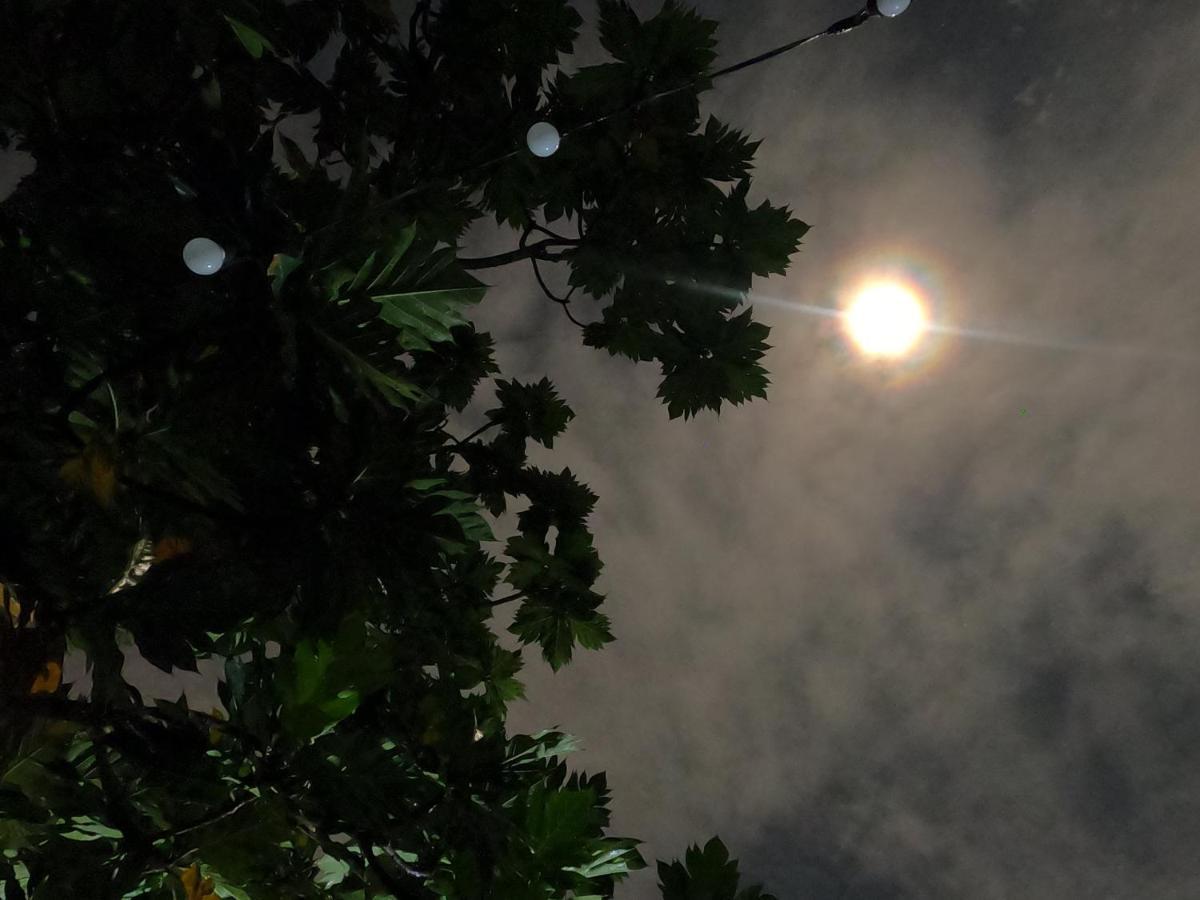 Vườn Nhà Ngoại Garden Ở trọ