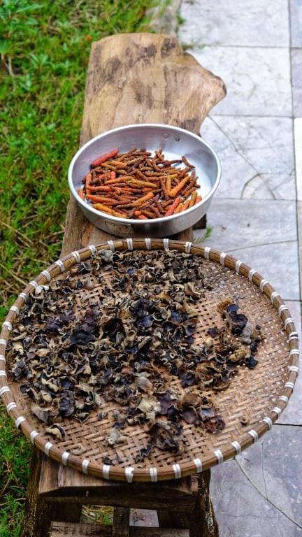 Ở trọ Vườn Nhà Ngoại Garden