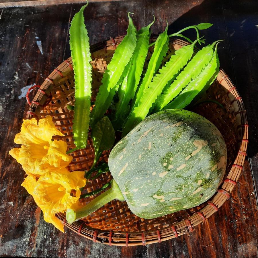 Vườn Nhà Ngoại Garden *