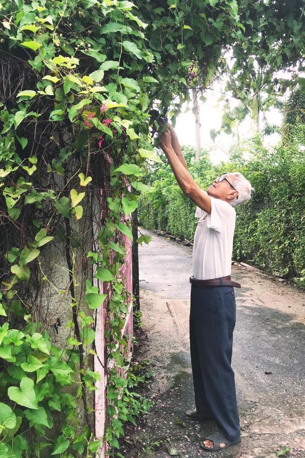 Vườn Nhà Ngoại Garden Ở trọ TP. Hồ Chí Minh