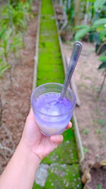 Ở trọ Vườn Nhà Ngoại Garden *